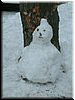 DSCF0035.JPG