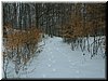 DSCF0038.JPG