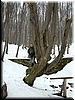 DSCF0046.JPG