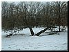 DSCF0049.JPG
