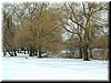DSCF0051.JPG