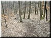 DSCF0061.JPG
