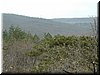 DSCF0068.JPG