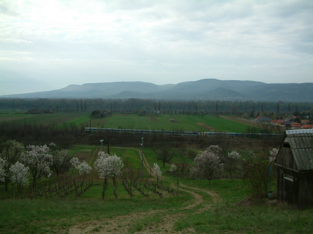 DSCF0110.JPG