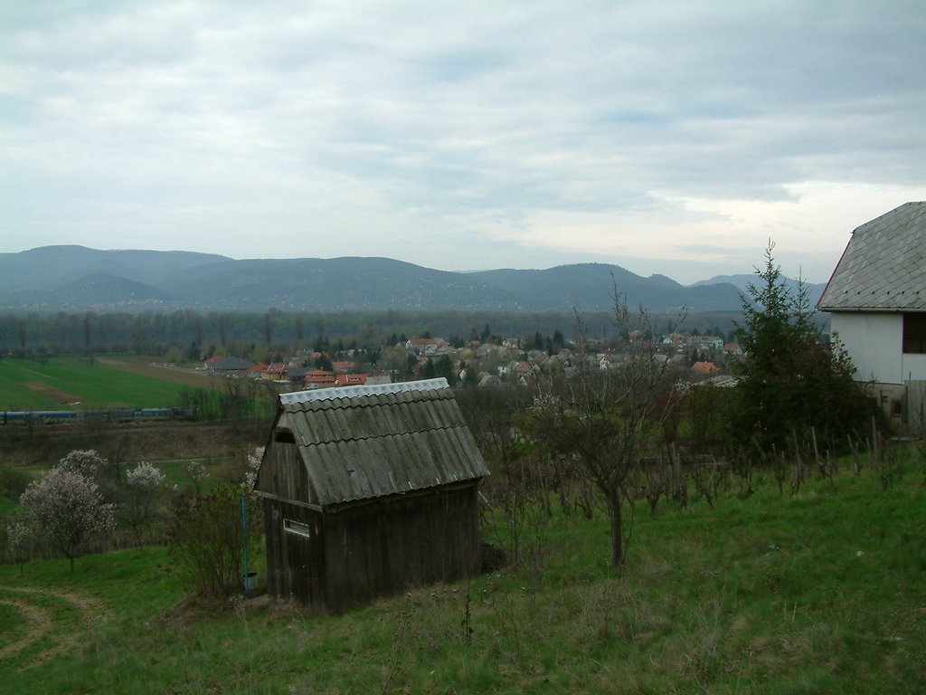 DSCF0111.JPG