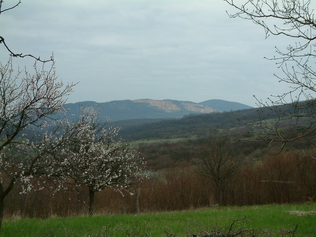 DSCF0112.JPG