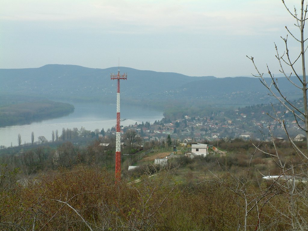 DSCF0113.JPG