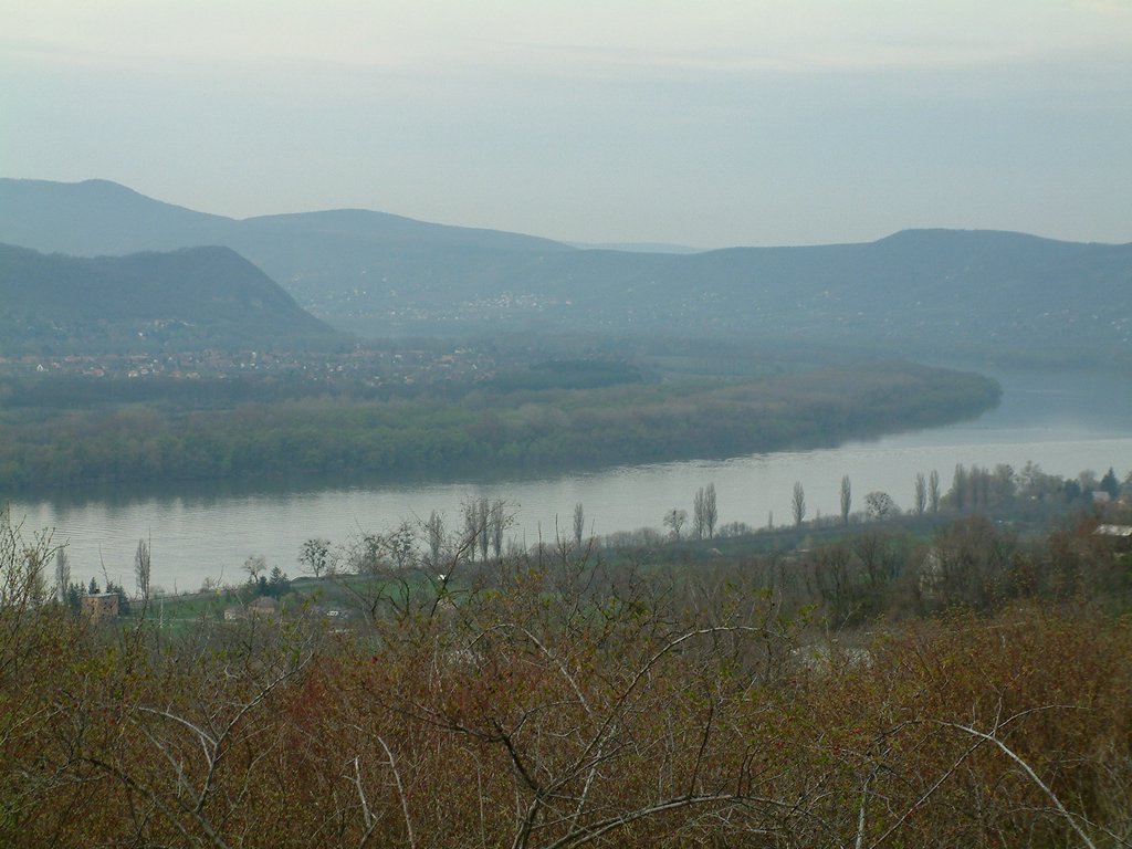 DSCF0114.JPG