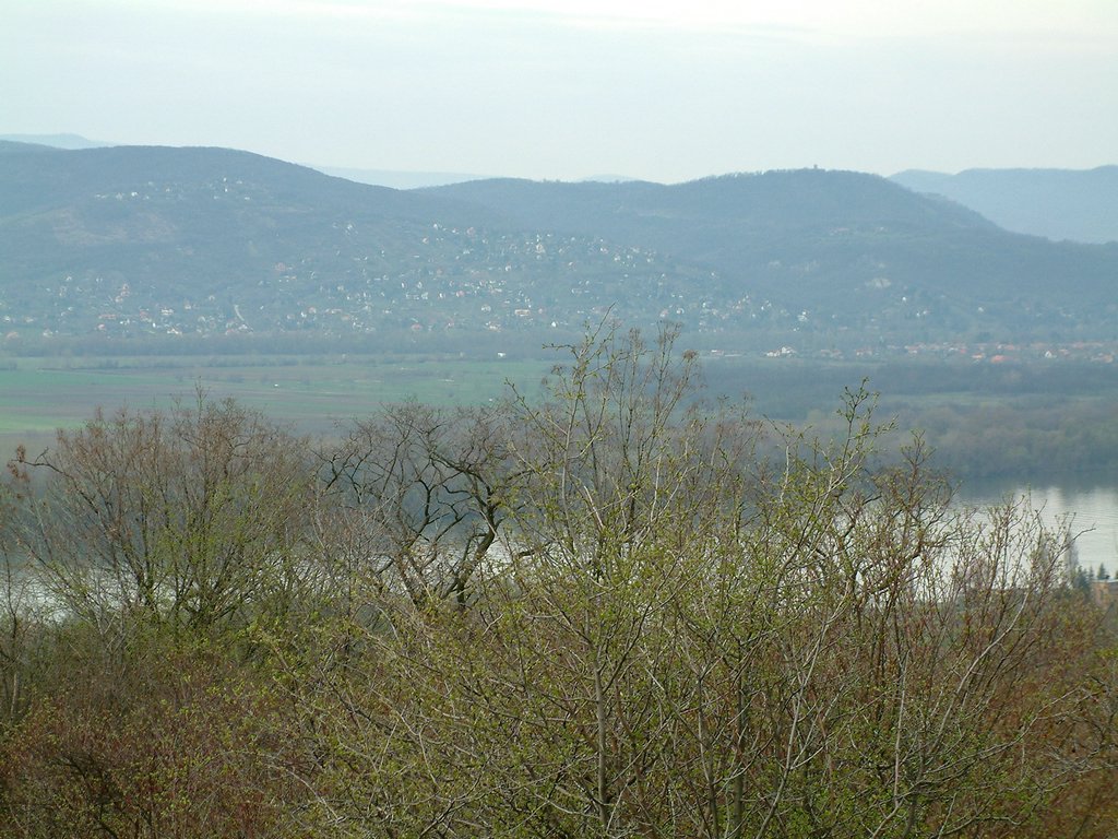 DSCF0115.JPG