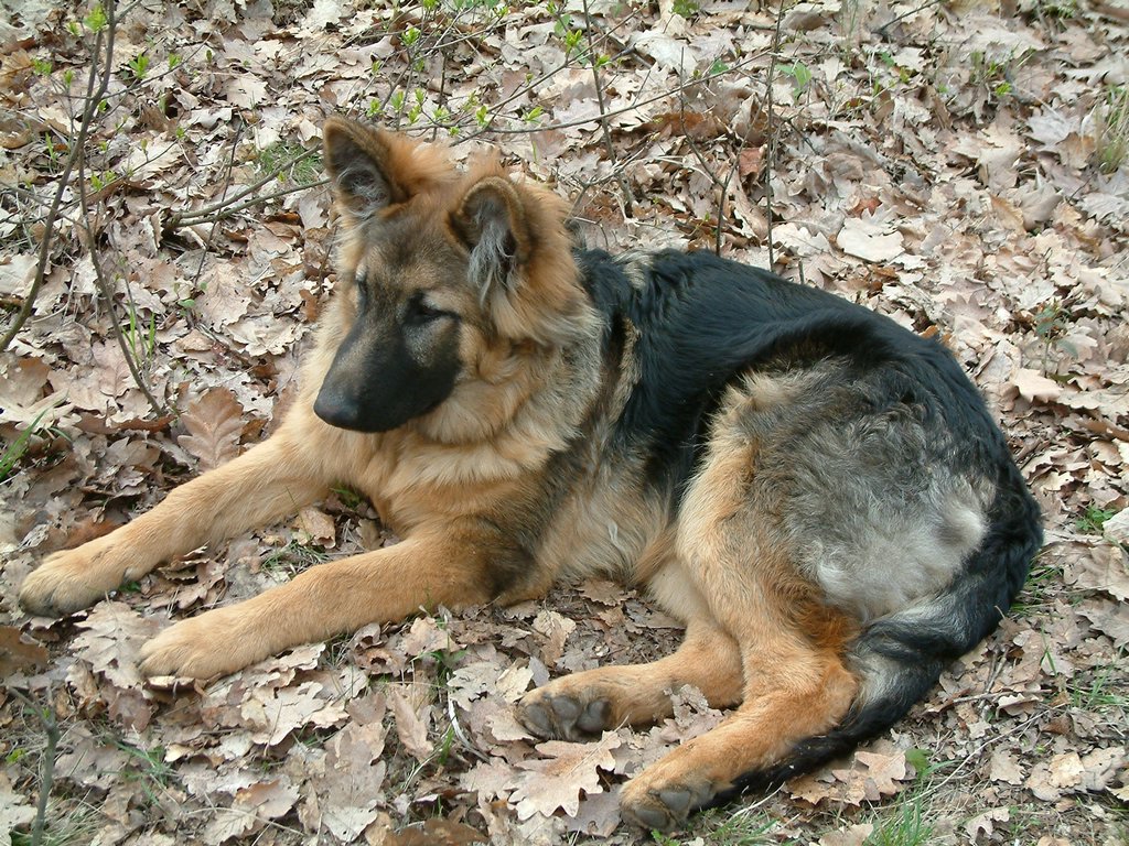 DSCF0118.JPG