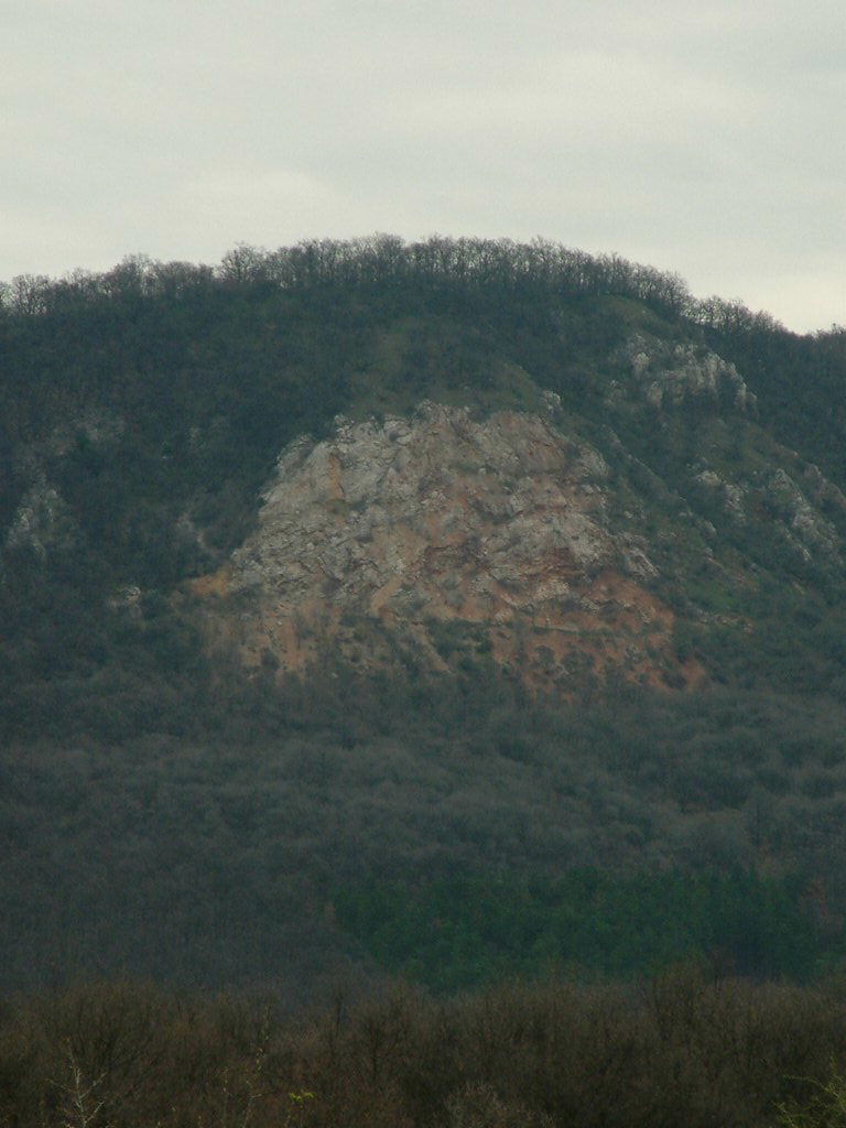 DSCF0121.JPG