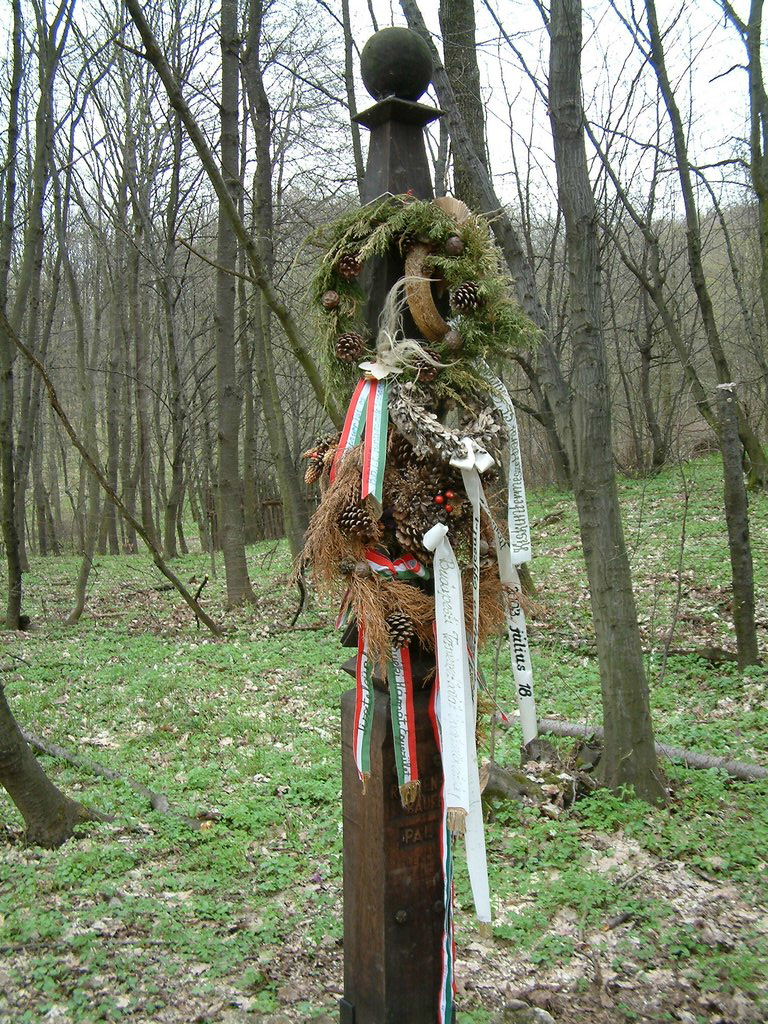 DSCF0126.JPG