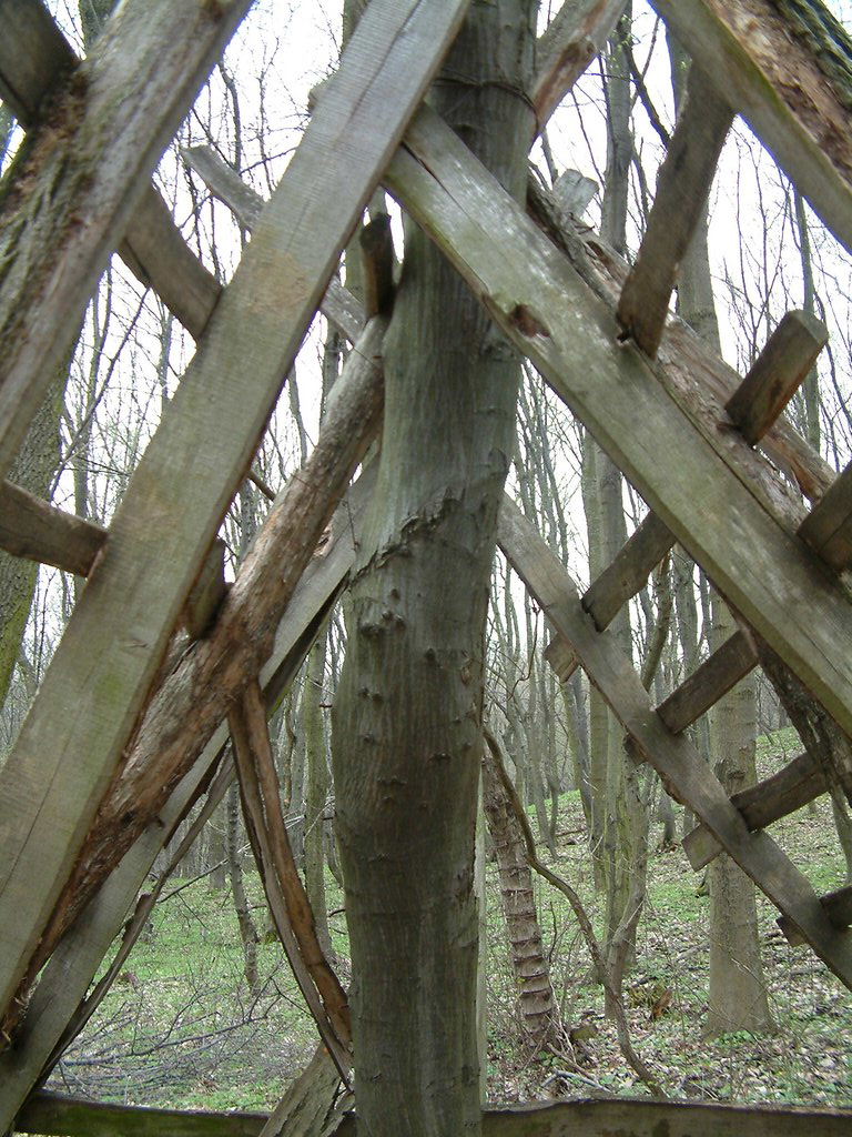 DSCF0128.JPG
