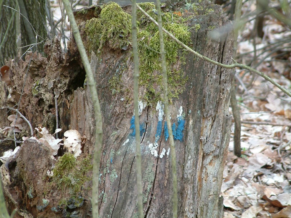 DSCF0130.JPG