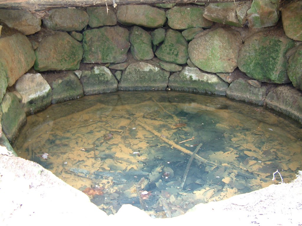 DSCF0131.JPG