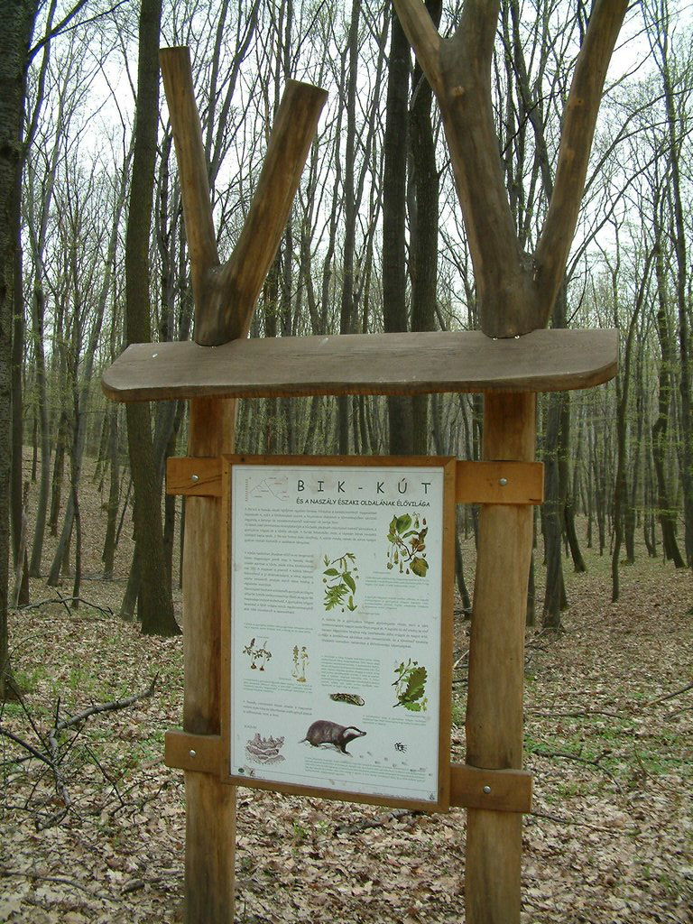 DSCF0132.JPG