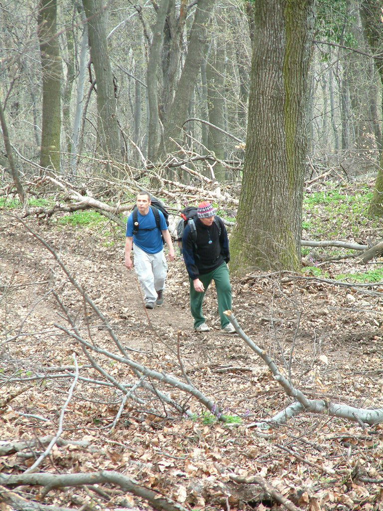 DSCF0135.JPG