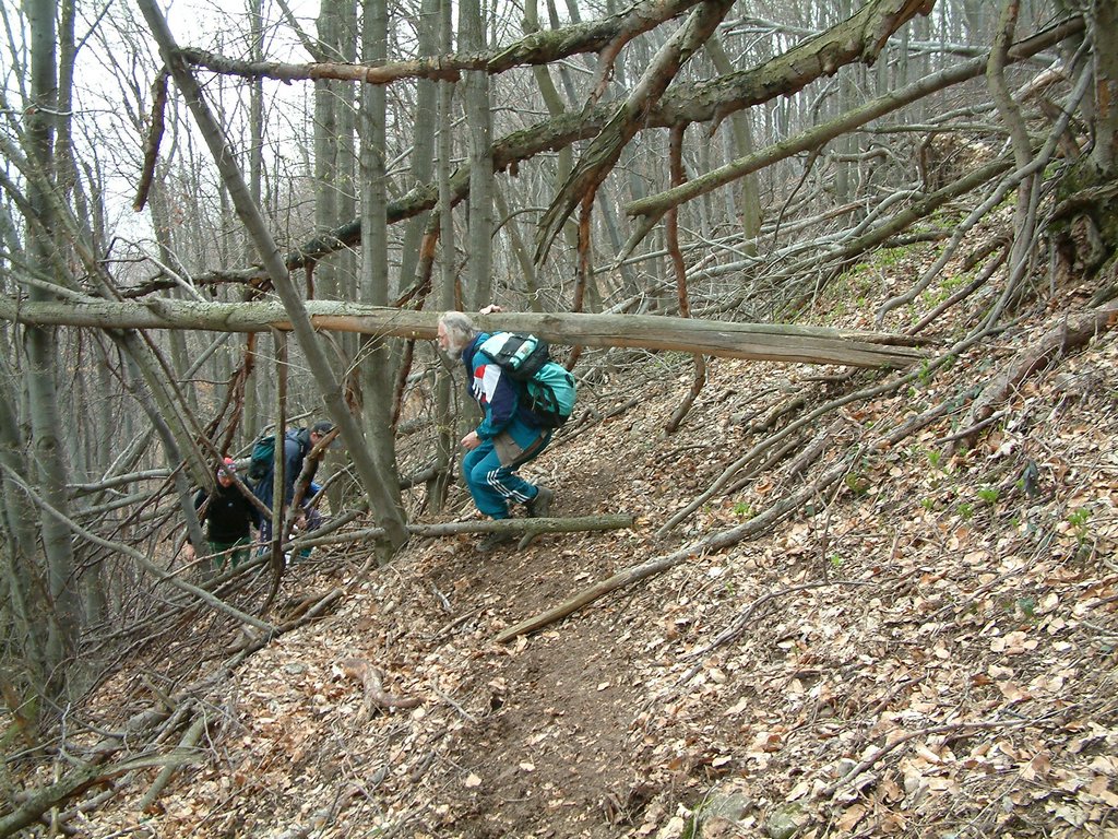 DSCF0137.JPG