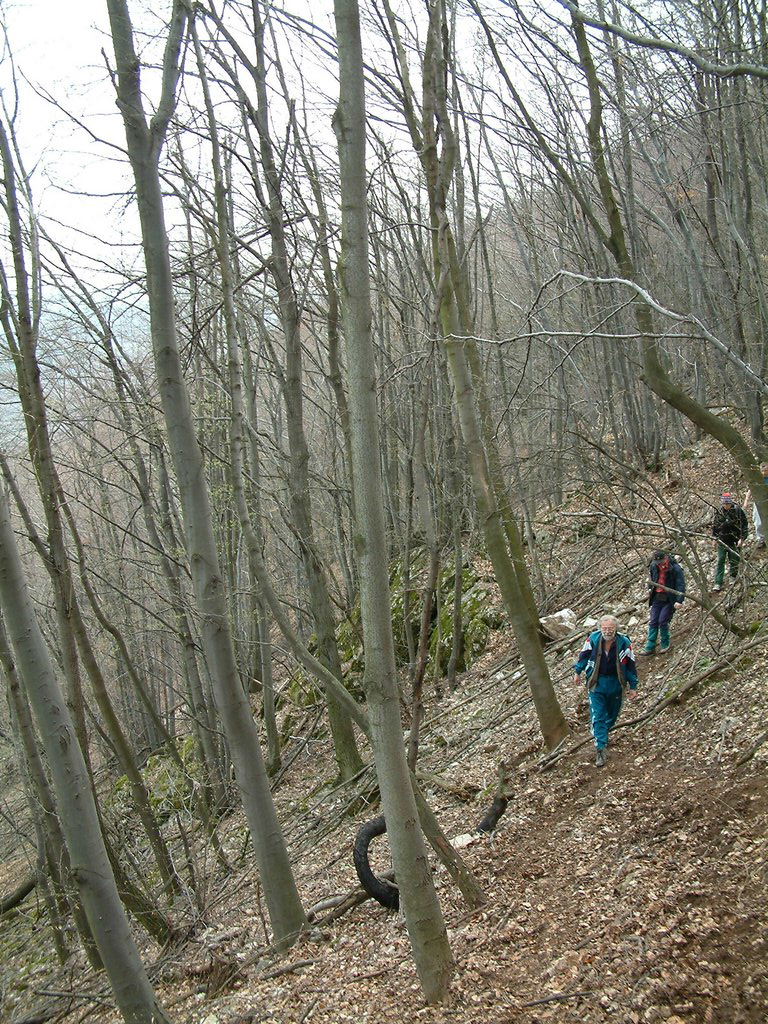 DSCF0139.JPG