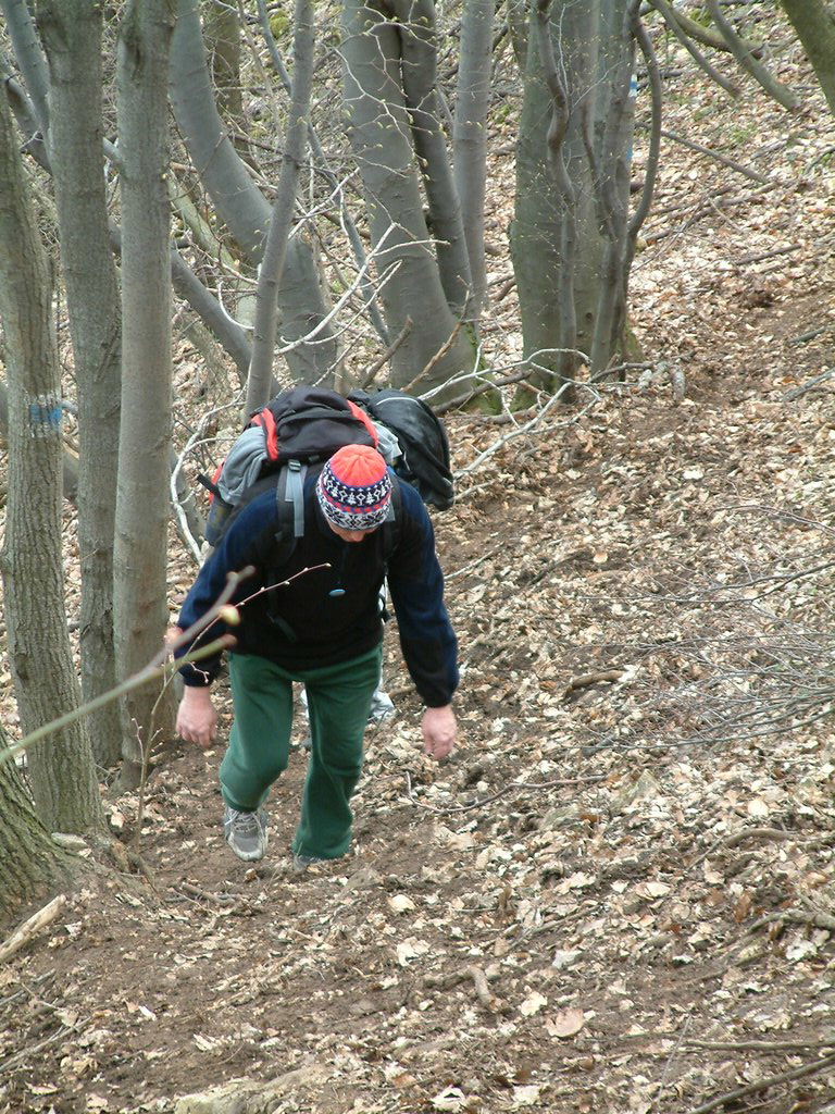 DSCF0140.JPG