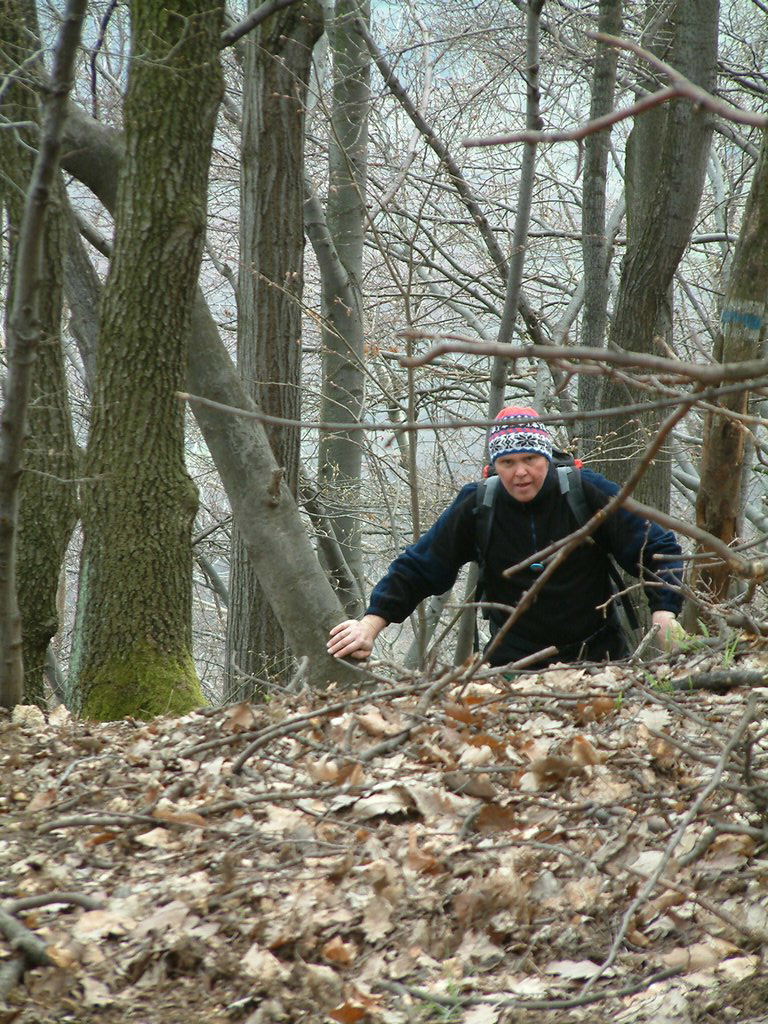 DSCF0141.JPG