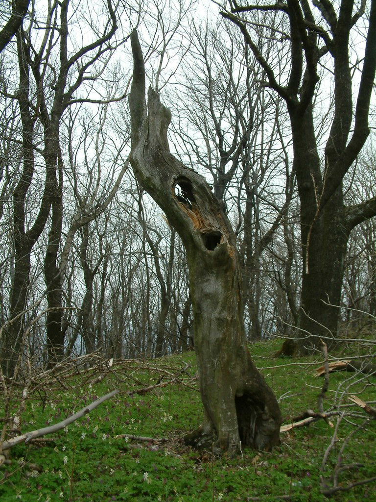 DSCF0144.JPG