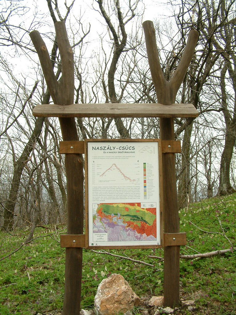 DSCF0146.JPG