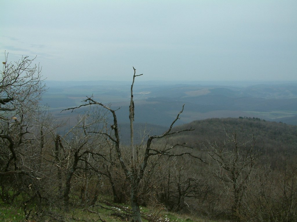 DSCF0148.JPG