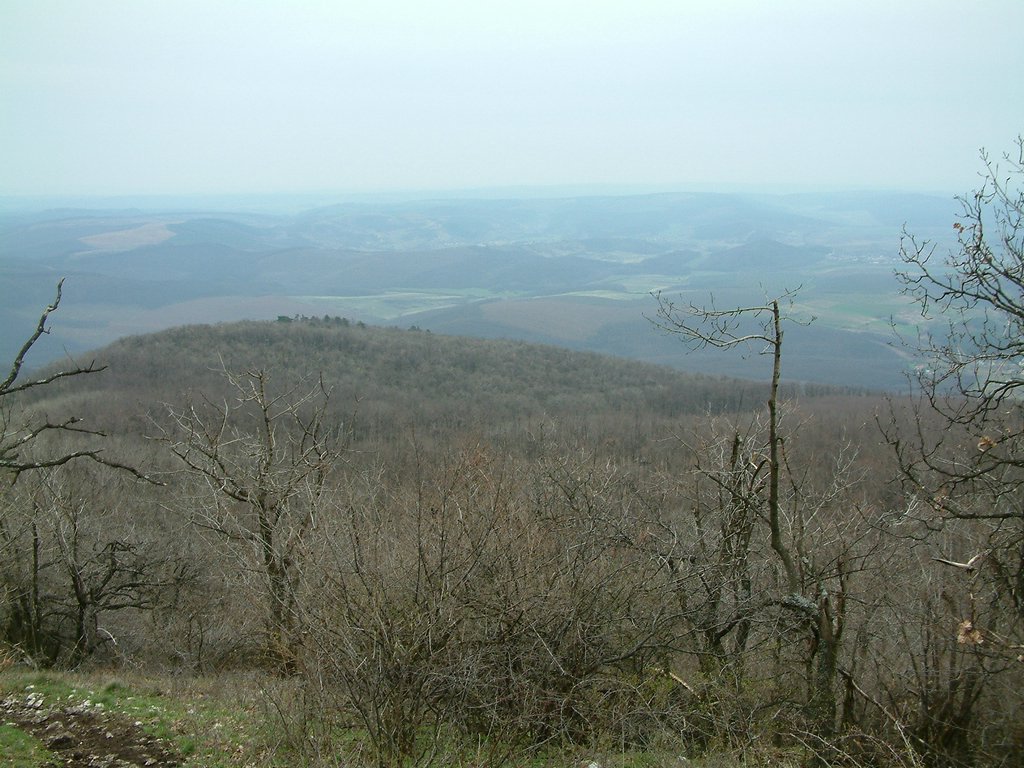 DSCF0149.JPG