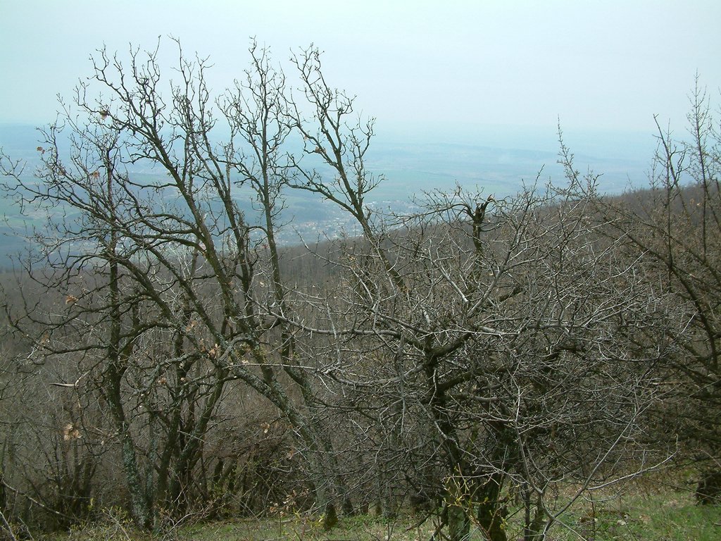 DSCF0150.JPG