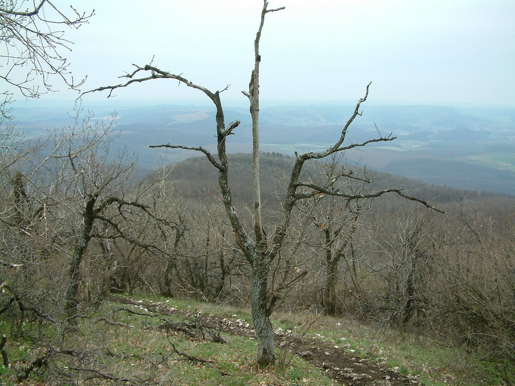 DSCF0151.JPG