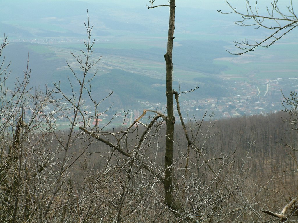 DSCF0152.JPG