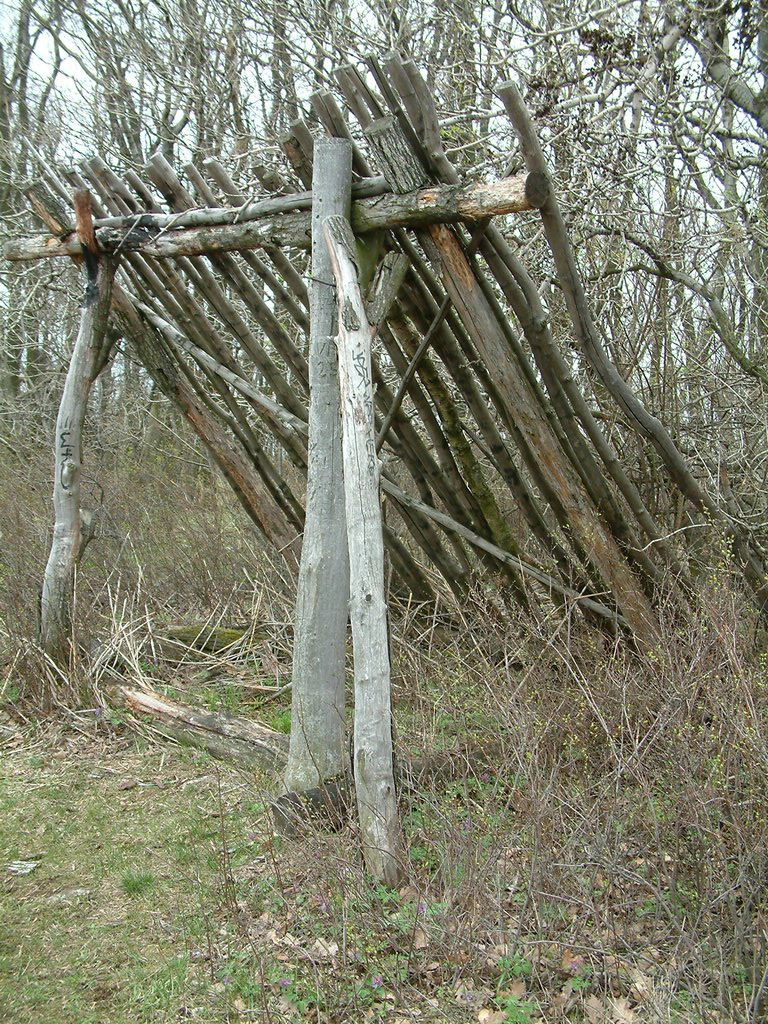 DSCF0153.JPG