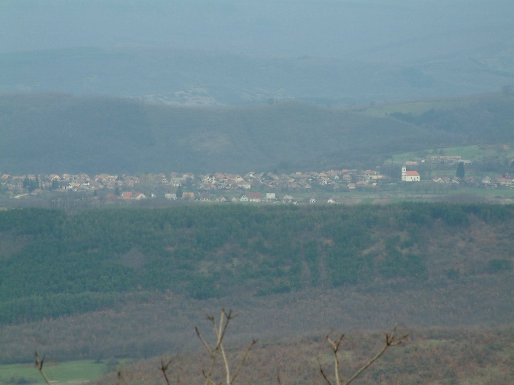 DSCF0154.JPG