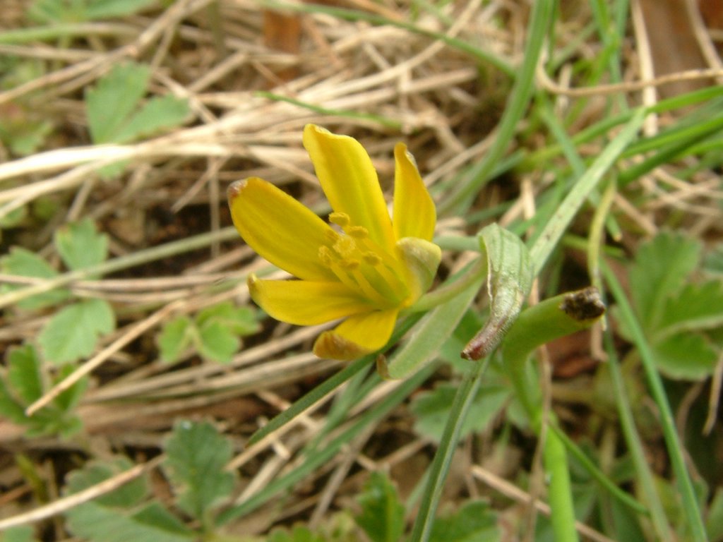 DSCF0156.JPG