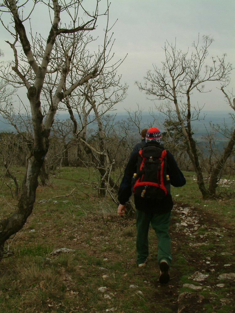 DSCF0159.JPG