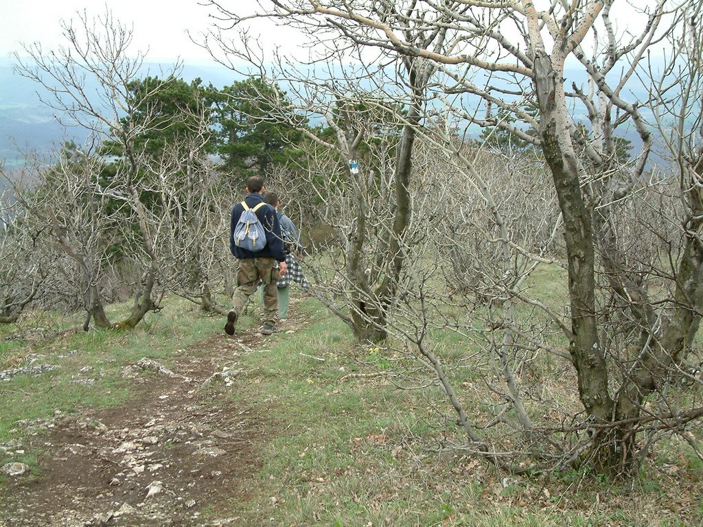 DSCF0160.JPG