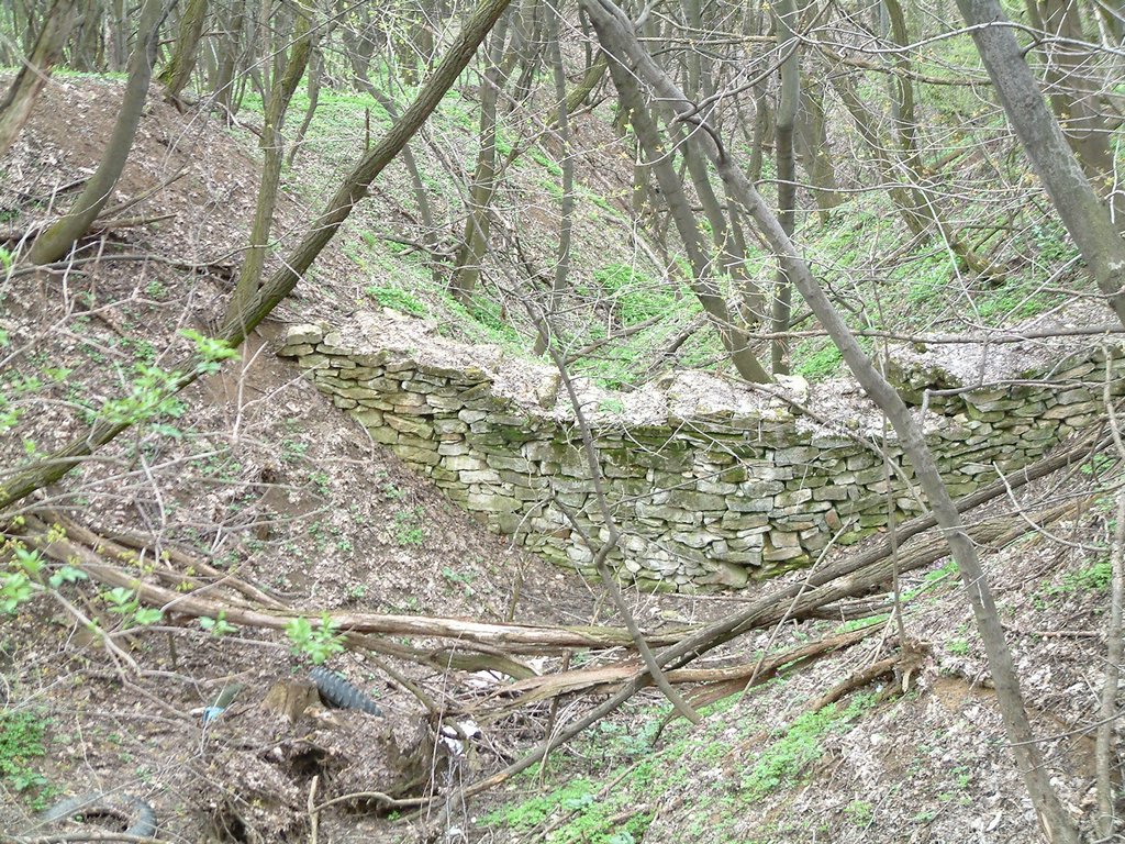 DSCF0161.JPG