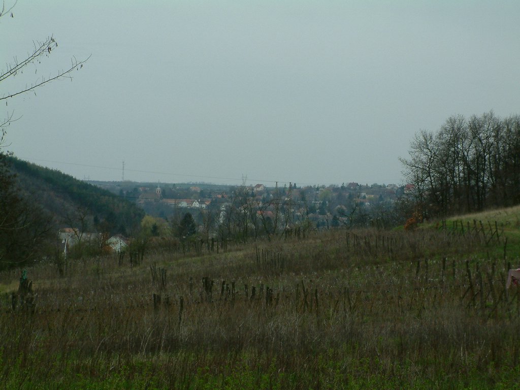 DSCF0165.JPG