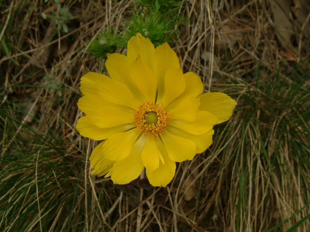 DSCF0169.JPG