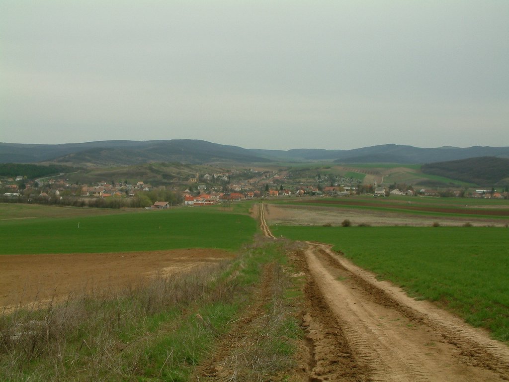 DSCF0171.JPG