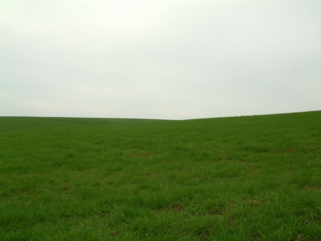 DSCF0172.JPG