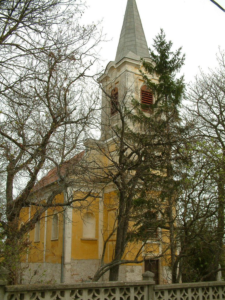 DSCF0173.JPG
