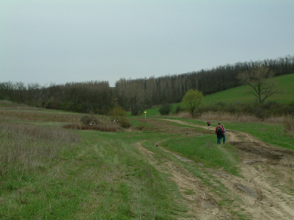DSCF0176.JPG