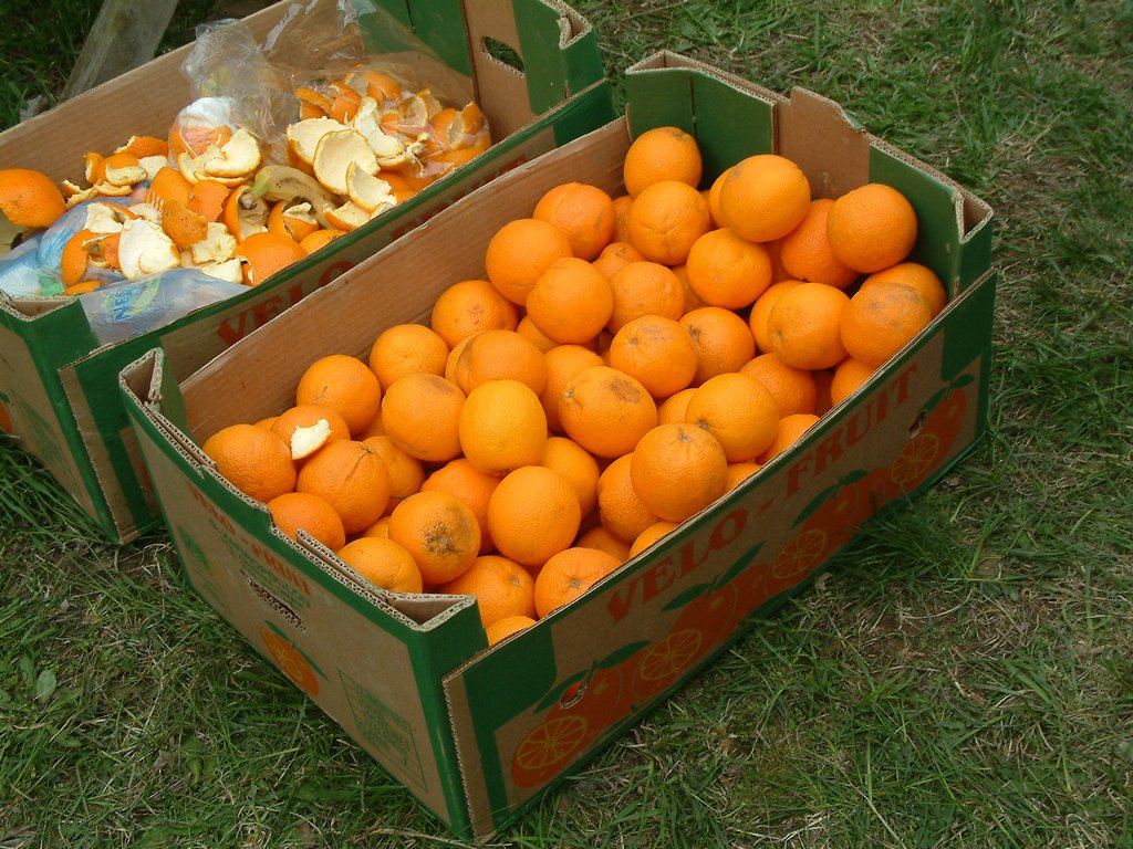 DSCF0178.JPG