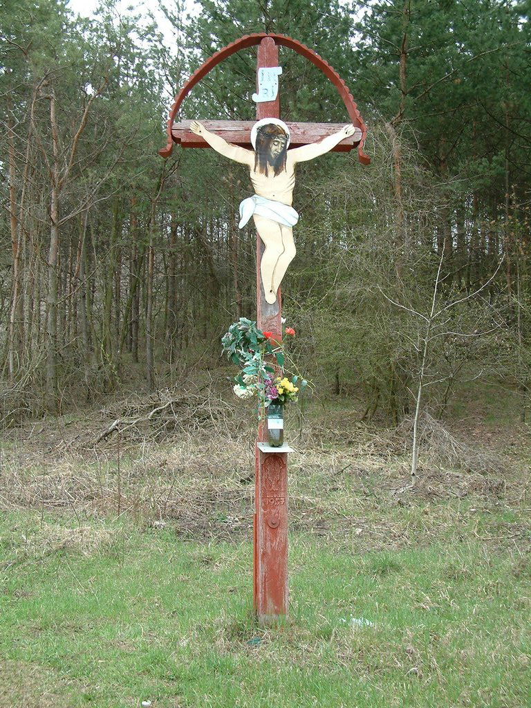 DSCF0179.JPG
