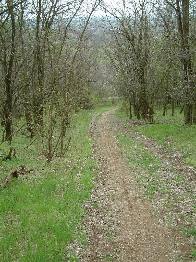 DSCF0183.JPG