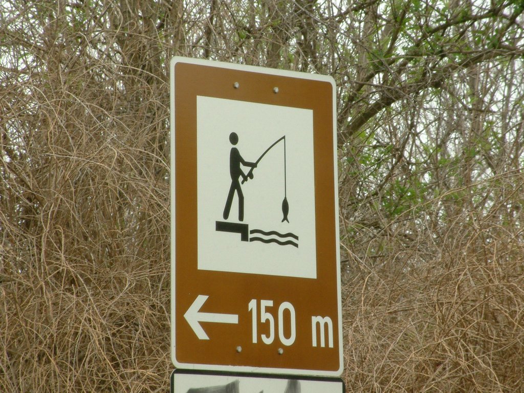 DSCF0188.JPG