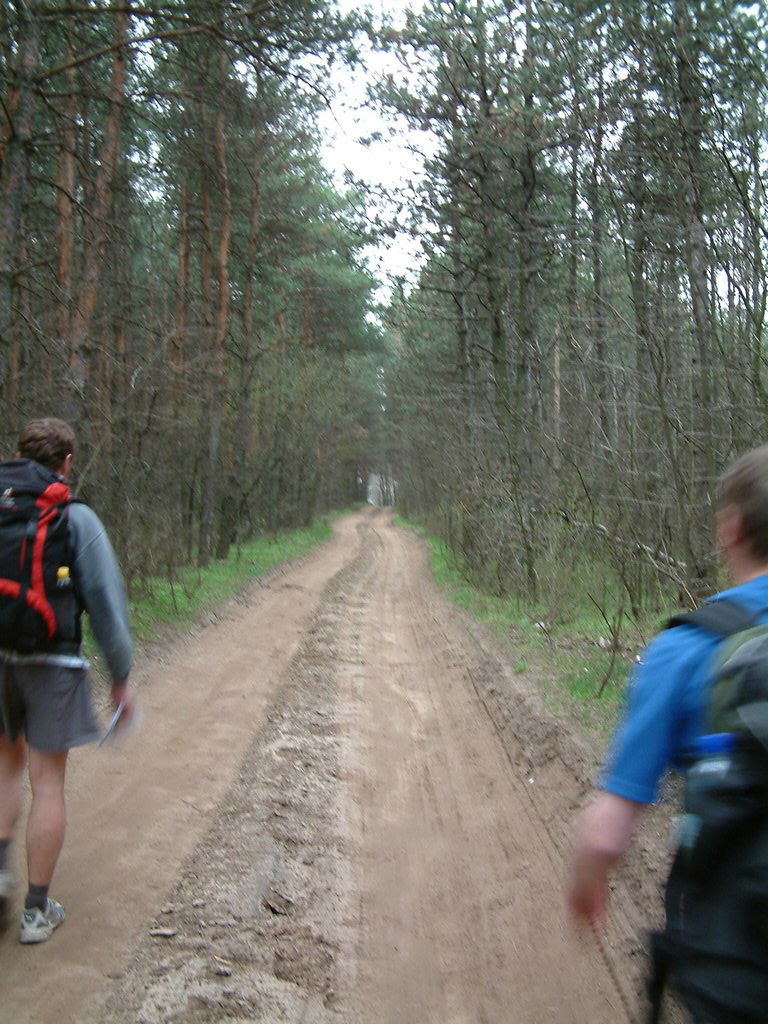 DSCF0208.JPG