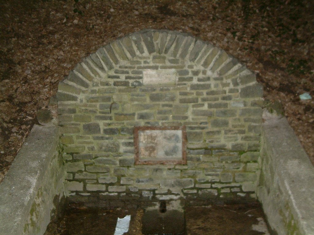 DSCF0220.JPG